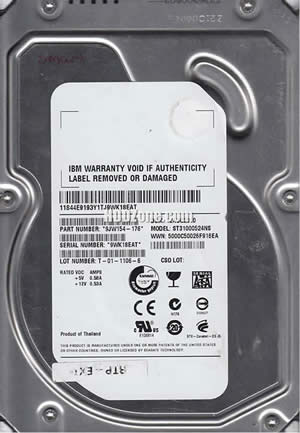 Seagate ST310000524NS Hard Disk Drive