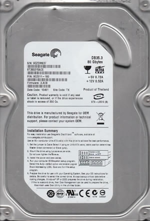 Seagate ST380215ACE Hard Disk Drive