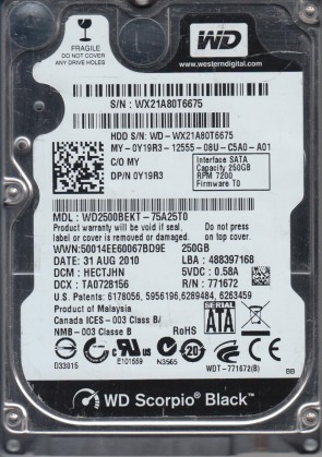 Western Digital WD2500BEKT Hard Disk Drive