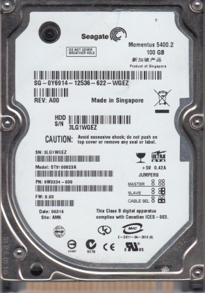 Seagate HDD ST9100823A