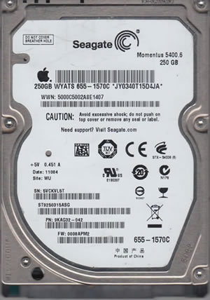 Seagate HDD ST9250315ASG