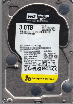 Western Digital HDD WD3000FYYZ