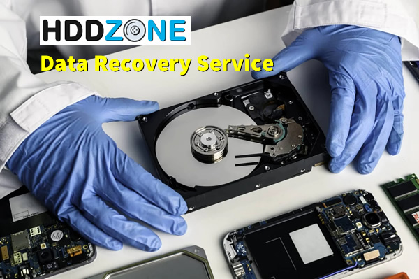 (image for) Data Recovery Service